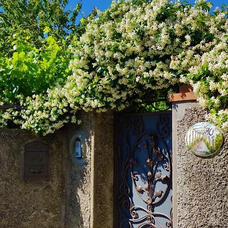 La Primavera 아나카프리 외부 사진